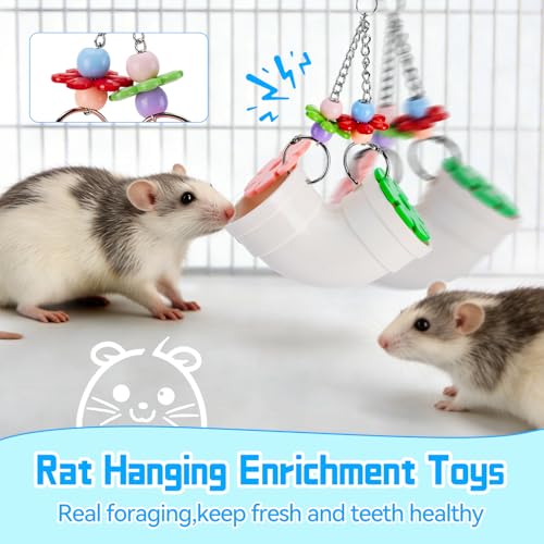 AOWPFVV Rat Enrichment Toys,Hanging Rat Foraging Toy for Cage Accessories | Slow Feeder Fancy Cage Puzzle Toy for Rats & Mice&Birds,Boredom Breaker and Keep Teeth Health