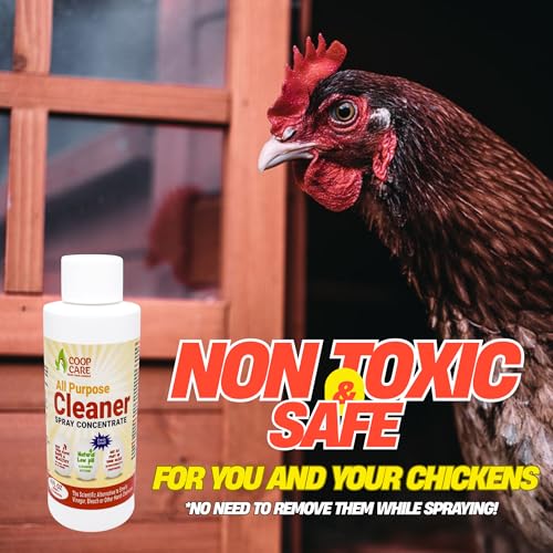 Chicken's Choice Chicken Dust Bath, 6 lb Natural Volcanic Ash Dust Bath for Chickens. Dust Mix for Healthy Chickens, Chinchillas, Small Animals. Made in The USA w/ 4 oz Coop Cleaner (Makes 32 oz)