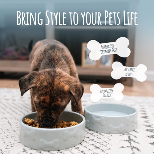 Manor Pet Bowl, Ceramic Dog and Cat Bowl, 8 Cup Capacity, Grey, Large - color: Grey, size: Large