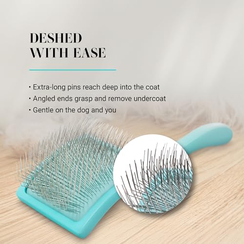Chris Christensen Big G Dog Slicker Brush for Dogs (Goldendoodles, Labradoodles, Poodles), Groom Like a Professional, Fluff Detangle Style, Saves Time Energy, Teal, Large - color: Teal, size: Large