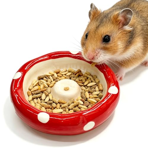 Hamster Food Bowl – Mushroom Cap Shape Ceramics Series Feeding & Water Bowls for Dwarf Syrian Hamsters Gerbils Mice Rats or Similar-Sized Small Pets (Mushroom Head) - color: mushroom head