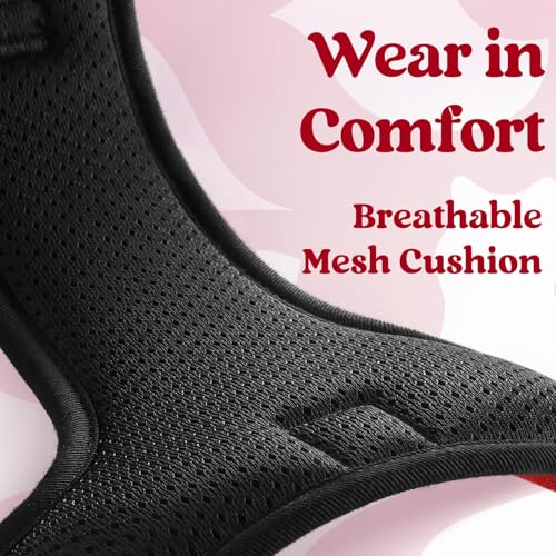 rabbitgoo Dog Harness Small Sized, Updated Easy On & Off with 3 Buckles | No Pull No Choke, Walking with 2 Clips and Handle, Adjustable Soft Reflective, Red, Small - color: Red, size: Small