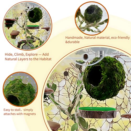 Jumping Spider Accessories - Moss Hideout with Hemp Rope Bridge | Magnetic decor set for jumping spider enclosures. Premium moss hideout & hemp rope bridge expand climbing space.