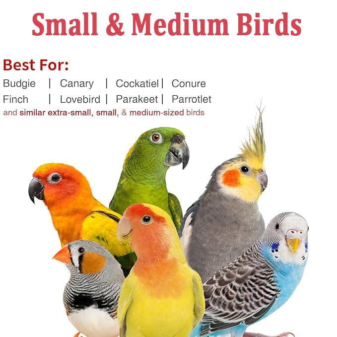 Small Bird Travel Carrier, Portable Bird Travel Cage for Parakeet, Parrot, Budgie, Guinea Pig, Bearded Dragon Reptile Carrier for Hiking Vet Visit Bicycle Ride (Grey) - color: Grey