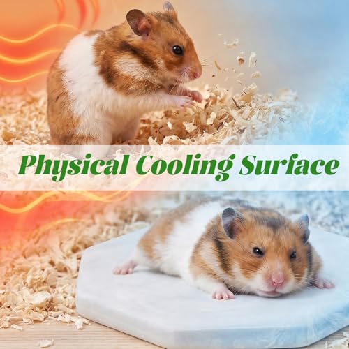 Hamster Cooling Ceramic Plate, Octagon Marble Pattern Cooling Bed for Small Animals, Summer Heat Relief Pad for Hamsters