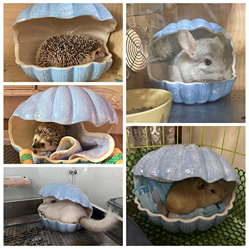 Small Animal Hideout Extra Large Ceramic Shell Shape Guinea Pig House Chinchilla Igloo Habitat Hut Cave Summer Bed Cage Accessories for Hedgehog Rabbit Hamster Gerbil Rat (XL (9.5''x7''x7.9''), Blue) - color: Blue