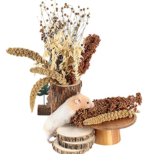 Natural Ear of Grain Flower&Herb Bedding Mate Habitat Decor, Adding Fun Hamster Accessories for Hamsters Gerbils Lemming - color: Grain