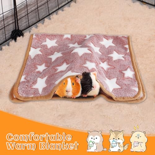 Guinea Pig Blanket, 2 Pack Warm Soft Coral Fleece Small Animal Blankets Washable Pet Cage Liners Sleep Mat Pad Cover for Rabbit Hamster Dog Cat Ferret Chinchilla Hedgehog Bedding, 24" x 16" - color: Burgundy + Grey (2 Pack)