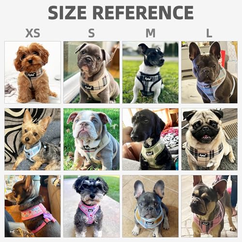 PUPTECK Soft Mesh Dog Harness and Leash Set Pet Puppy Cat Comfort Padded Vest No Pull Harnesses, Light Blue, S - color: Blue, size: S (NECK: 12", CHEST: 14"-18")