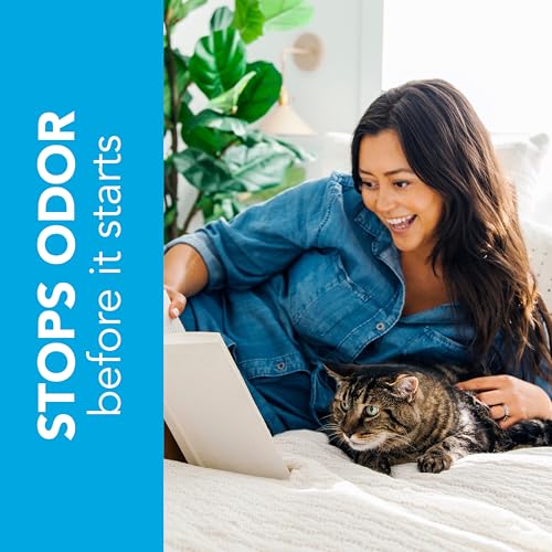 ökocat Original Wood Clumping Cat Litter, Unscented, 12.6 Pounds - Natural Ingredients, Stops Odor, Clumps Solid, 99% Dust Free, Lightweight Litter, Great for All Cats - size: Medium Bag, style: Original