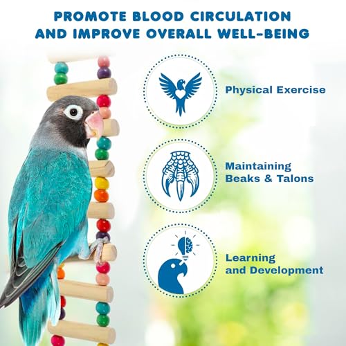 SunGrow Wooden Bird Ladder Bridge, Hanging Exercise Toy, Bird Playground Cage Accessory, Natural Wood, Edible Dye, Interactive Small Bird Toy, Parakeet, Cockatiel, Conure, Budgie Climbing Ladder
