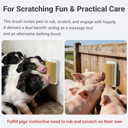 4 Pcs Pet Enrichment Toy, Pet Grooming Brush & Scratch Toy 2-in-1 for Mini Pig,Cats, Dogs - Includes Mounting Screws for Easy Install