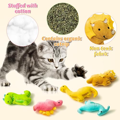 MALLMALL6 5Pcs Dinosaur Catnip Toys for Cat, Indoor Cat Chew Bite Kick Catmint Pet Supplies for Kitten Lover Gifts, Interactive Pet Toy with Cute Expression - style: Dinosaur