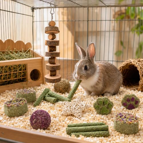 Grddaef Rabbit Toys, Guinea Pig Toys 17Pcs Natural Timothy Hay Bunny Chews and Treats for Hamster Chinchilla Gerbil - color: 17 Pcs