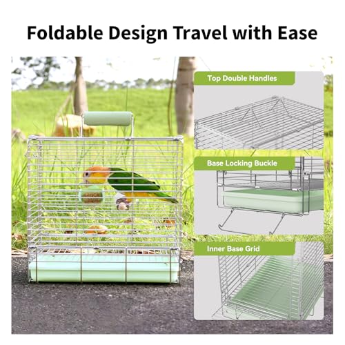 Bird Carrier Travel Cage - 304 Stainless Steel Portable Folding Bird Travel Cage with Parrot Feeder Cups & Standing Perch for Smaller Birds Conures Lovebird Cockatiel Parakeets (Green) | Easy install, includes carry bag. Rustproof, chew-safe, folds flat.