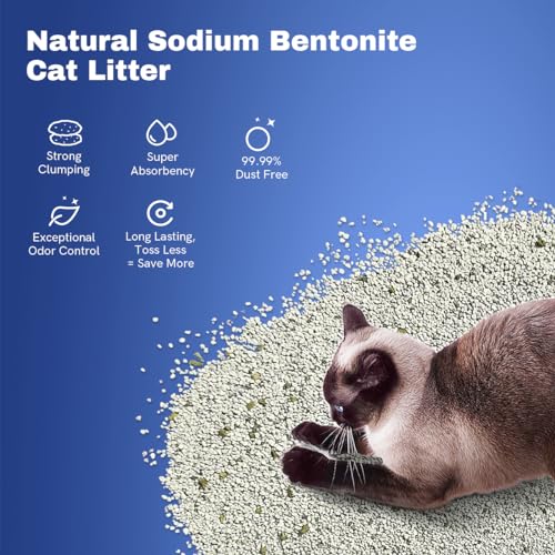 Clumping Cat Litter, Premium Bentonite Cat Litter Sodium-Based, Dust-Free, Strong Durability, Odor Control, Natural Mineral Formula Unscented Litter for RealScooper - 15 lb. Box - size: 15lb-Frustration Free Pack