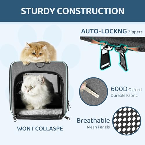 GAPZER Cat Carrier American, United, Delta Airline Approved Soft Travel Bag | Pet Airplane Crate Medium Cat 15 lbs Privacy Curtatin, Small Dog Crate Under 10 Pound TSA Approved Softsided Carry Cage Cabin - size: 17"x11"x11"