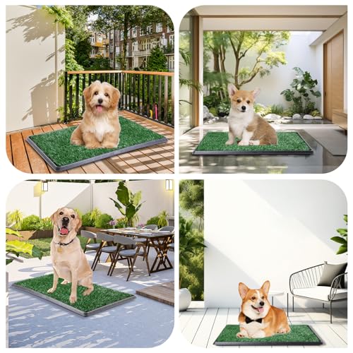 LOOBANI Dog Grass Pad with Tray - 20×25in for Potty Training | 2 Replacement Fake Grass Pads, Easy to Clean, Dog Litter Box, Balcony/Apartment/Indoor/Outdoor Use - size: Tray Potty 20*25inch