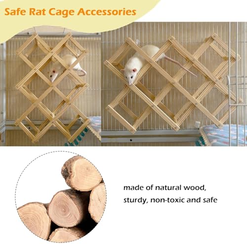 Kiln-Dried Wood Rat Climb Toy, Hanging Cage Ladder Activity (L, 1pc) | Natural Rat Cage Bridge, Multiple Openings & Directional Ramps Offer Challenges to Satisfy Rats' Instincts for Explore & Play - style: L, 1pc