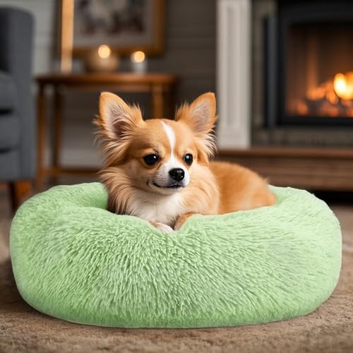 Dogs Bed for Small Dogs, Anti-Anxiety Washable Round Bed (Green, 24.0" L x 24.0" W x 8.0" Th) - color: Green, size: 24.0"L x 24.0"W x 8.0"Th