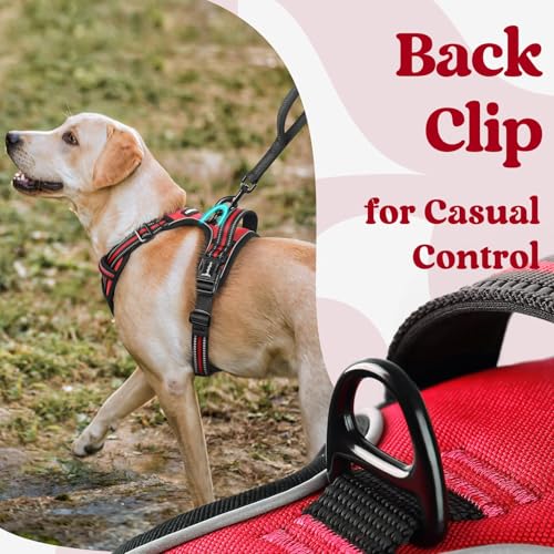 rabbitgoo Dog Harness Small Sized, Updated Easy On & Off with 3 Buckles | No Pull No Choke, Walking with 2 Clips and Handle, Adjustable Soft Reflective, Red, Small - color: Red, size: Small
