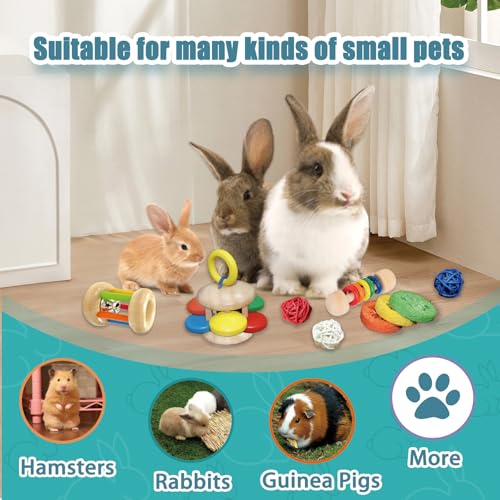 QWR 9PCS Wooden Bunny Toys,Safe Rabbit & Guinea Pigs Teeth Grinding Toy for Chinchillas, Hamsters & Small Animals - Indoor & Outdoor - size: 9PCS
