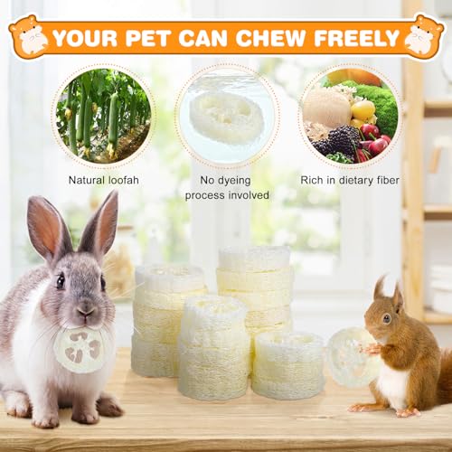 Toddmomy Rabbit Chew Toys 20pcs Loofah Teeth Grinding Toys Small Animal Tooth Cleaning Tools for Guinea Pig Chinchilla Hamster