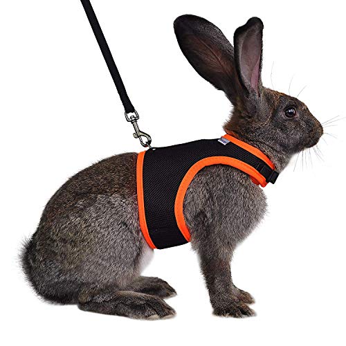Niteangel Adjustable Soft Harness with Elastic Leash for Rabbits (M, Black) - color: Black, size: M