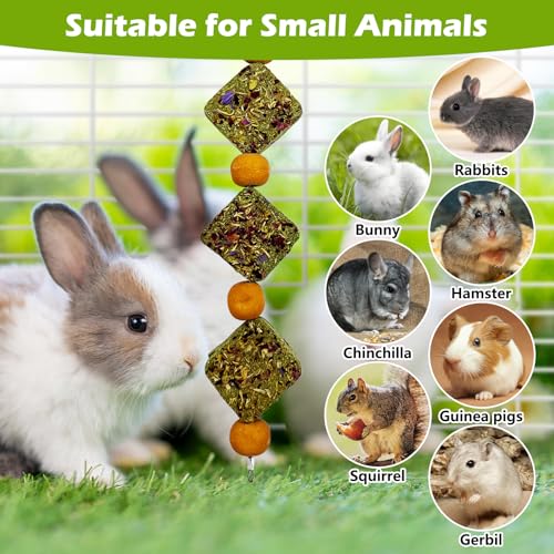 kathson Rabbit Chew Toys for Teeth Bunny Natural Timothy Grass Cake Guinea Pig Hanging Chew Toys Treats for Bunny Chinchilla Hamsters Squirrel and Other Small Pets Playing Improve Pets Dental - style: Style D