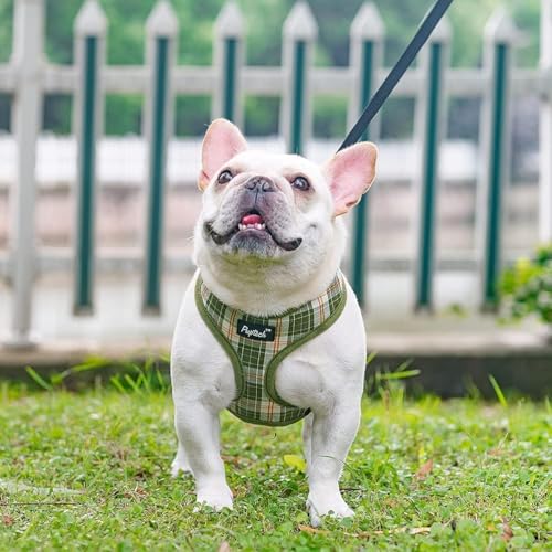PUPTECK Soft Mesh Dog Harness and Leash Set Pet Puppy Cat Comfort Padded Vest No Pull Harnesses, Olive Green, S - color: Olive Green, size: S (NECK: 12", CHEST: 14"-18")