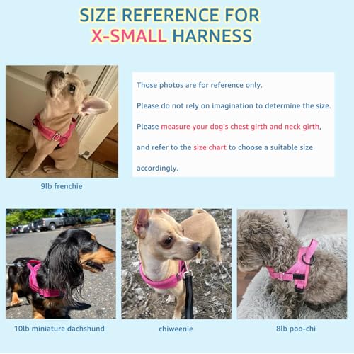 SlowTon No Pull Small Dog Harness and Leash Set with Front Clip | Soft Padded, Neck & Chest Adjustable, Lightweight, Anti-Twist, Puppy Vest Harness Pet Lead Combo for Small Medium Dog, FU XS - color: Fuchsia, size: X-Small