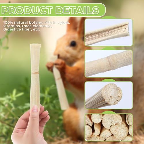 1lb Natural Sweet Bamboo Chew Sticks, Molar Teething Treats Toys for Rabbits, Bunnies, Guinea Pigs, Hamsters, Chinchillas, Rats & Other Small Animals - size: 1lb