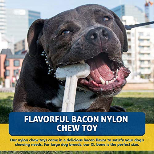 Bullibone Nylon Dog Chew Toy for Aggressive Chewers - Dental Hygiene Bone with Bacon Flavor, Durable Tough Chew Toys for Extra Large Dogs, Indestructible Dog Bone - Single - size: XL - Single