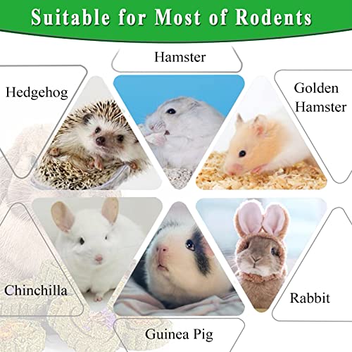 Rabbit Chew Toys for Teeth, 18PCS Natural Timothy Hay Chew Toy, Improve Dental Health for Bunny/ Chinchilla/ Guinea Pig/ Hamsters/ Holland Lop, Small Rodent Pet Molar Teeth Treats Toys - size: 18 PCS