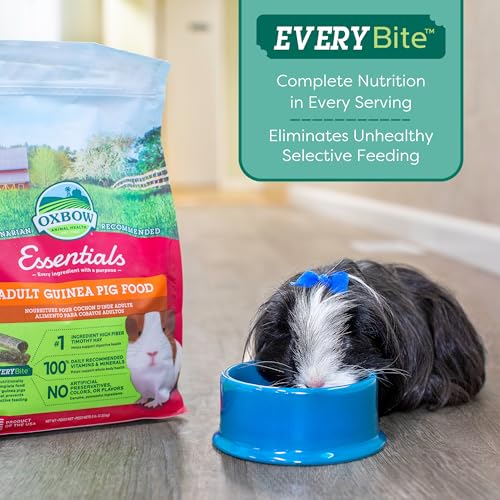 Oxbow Essentials Adult Guinea Pig Food, Timothy Hay Pellets, USA, 10 lb | Guinea Pig Pellets, Vitamin C For Guinea Pigs, Stabilized, High Fiber, Made in USA, Uniform Food, Prevents Selective Feeding - size: 10 Pound (Pack of 1)