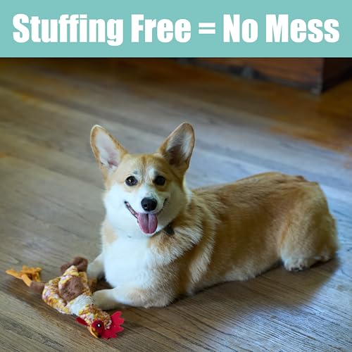 SPOT Skinneeez Chicken 13 Inch Stuffing-Free Plush Squeaky Dog Toy – Soft Interactive Chew Toy for Small and Medium Dogs – Mess-Free Play for Light & Moderate Chewers - style: Mini Chicken