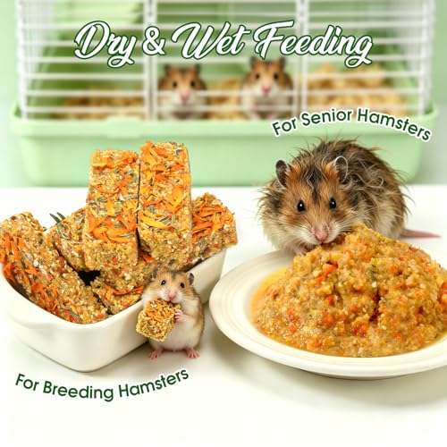 Abizoo 18 Pcs Hamster & Rat Treats, Healthy Supplement for Senior Small Pet | Daily Nutrition Food for Immune Health, Chew Toys for Teeth Grinding, Nutri Blocks for Hamsters, Rats and Gerbils of All Ages