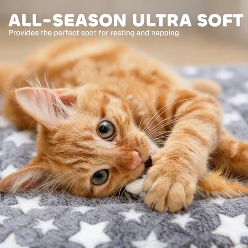 Mora Pets Cat Bed Dog Crate Pad Ultra Soft Pet Bed with Cute Star Print Washable Crate Mat for Small Dogs and Indoor Cats Reversible Fleece Dog Kennel Pad Cat Carrier Mat 14 x 17.5 inch Grey - color: Grey, size: 18-Inch