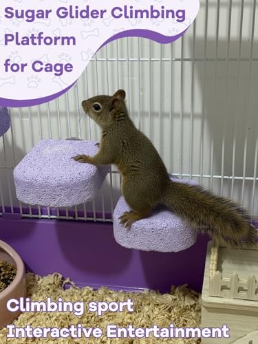 Lava Ledges for Rats 6 Pack Hamster Climbing Ledge Platform Pumice Ledge Shelf Pet Chewing Grinding Toys Small Animals Cage Accessories for Mouse Guinea Pig Gerbil Purple - color: Purple, size: 6 PCS 2.95 x 2.55 x 0.98 inches