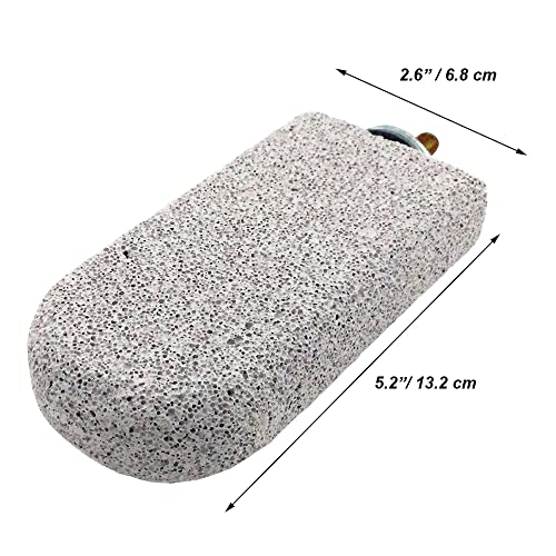 Shelltech Pumice Lava Ledge for Birds, Chinchillas, Hamsters, Parrots - Teeth & Beak Grinding Block - 1 Pack