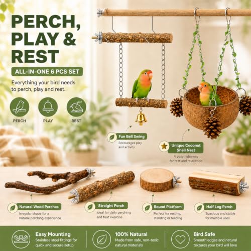 Bird Perch Bird Cage Accessories Parrot Toys Natural Wood 6Pcs Set for Parakeet Cockatiel Conure Lovebird Small Medium Birds
