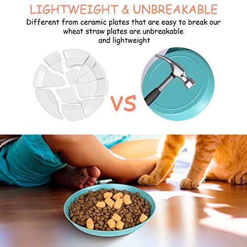 Cat Bowls 6 inch Whisker Fatigue Free Cat Food Bowl, Wheat Straw Cats Dishes, Pet Feeding Plate for Kittens and Short Legged Cats (8 Pcs) - color: 8 Pcs Round - 4 Color