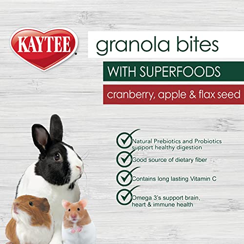 Kaytee Granola Bites with Superfoods Cranberry, Apple and Flax for Rats, Mice, Hamsters, Gerbils, Rabbits, Guinea Pigs and Chinchillas, 4.5 oz (Pack of 2) - size: 4.5 Ounce (Pack of 2), style: Cranberry, Apple & Flax