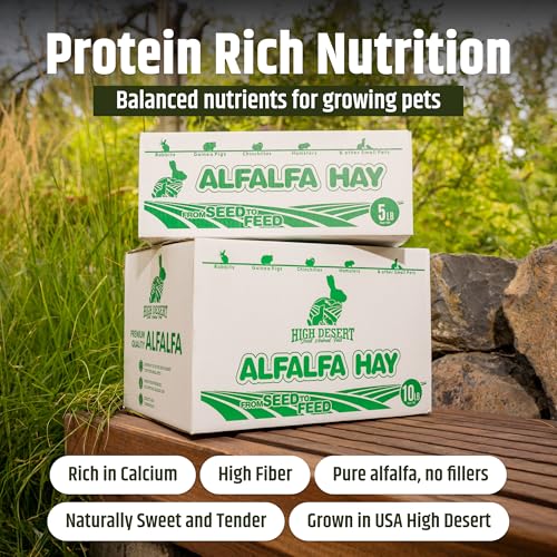 High Desert Alfalfa Hay, Protein Rich Soft Leaf Food for Young Growing Animals, Natural Rabbit Food and Guinea Pig Hay, Supports Digestive Health, Small Pet Supplies, Fresh Hand Packed 5 Lb Box | Protein Rich Soft Leaf Forage, Ideal For Growing Kits And N