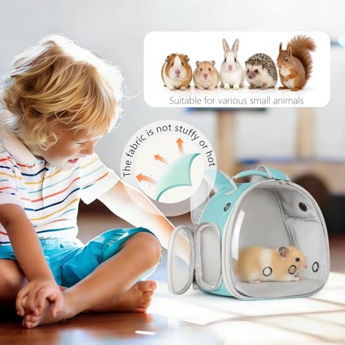 Guinea Pig Backpack, Space Capsule Bubble Window Small Animal Backpack for Guinea Pig, Bird Bunny Rat - color: Green