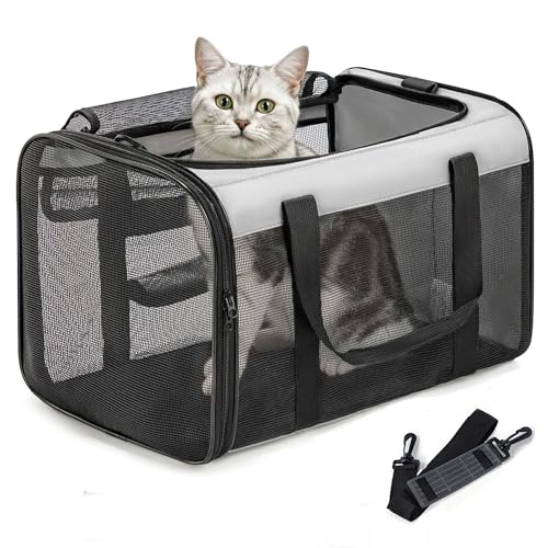 Conlun Soft-Sided Cat Carrier for Small-Medium Cats, Puppies up to 15 Lb, Airline Approved - color: Grey, size: M