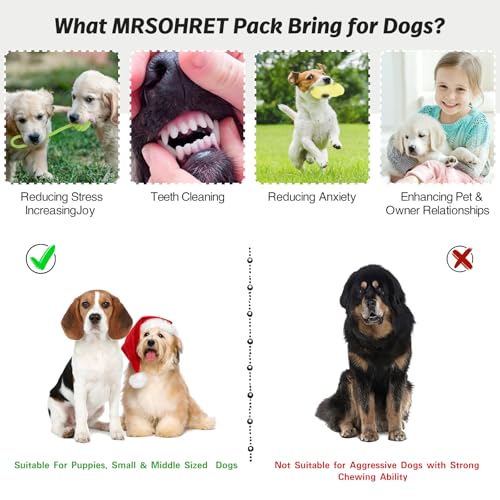 MRSOHRET 20Pcs Puppy Chew Toys for Teething, Dog Chew Toys with Rope Toys, Pet Dog Toothbrush, Treat Balls, Plush Toys and Squeaky Toy for Small Medium Dogs with Basket - color: 20 Pack Koala