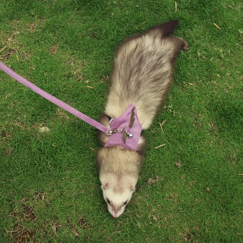 Bearded Dragon Harness and Leash Set - Soft Fleece Dinosaur Vest with Safe Bell Adjustable Lizard Traction Rope Escape Proof Outdoor Walking Training Leash for Ferret Rat Kitten Puppy (Purple) - color: Purple