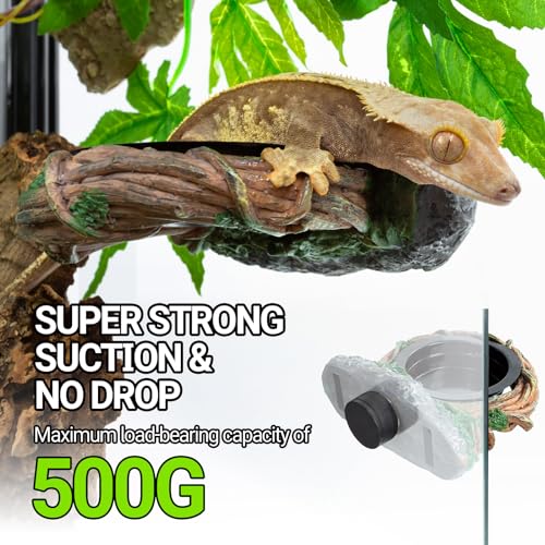 REPTI ZOO Magnetic Reptile Feeding Ledge, Gecko Feeder Ledge with 2PCS Cups, Hollow Vine Food Dish, Reptile Water Bowl for Bearded Dragon Lizard Snake, Terrarium Tank Accessories - size: Magnetic- Single Feeder
