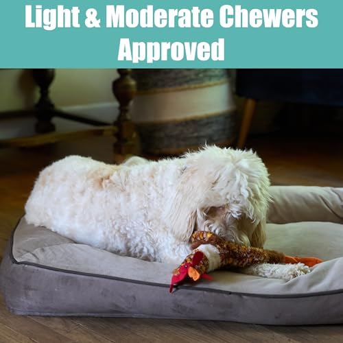 SPOT Skinneeez Chicken 17" Stuffing-Free Plush Dog Toy with Honking Squeaker – Soft, Floppy & Mess-Free Interactive Toy for Medium & Large Dogs – Ideal for Light & Moderate Chewers - style: Chicken